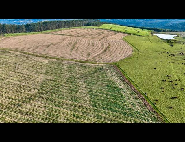 LAND FOR SALE IN MOUNT VERDE